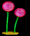 Pirulito Duplo