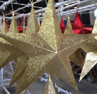 Estrela de Fibra